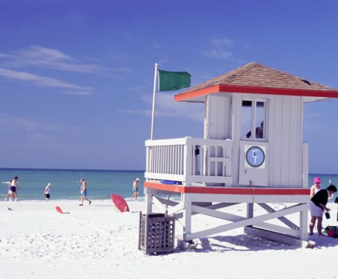 Florida Sunshine