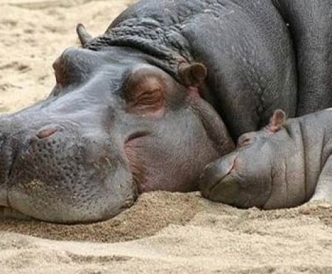 Tour Sudafrica e Mozambico