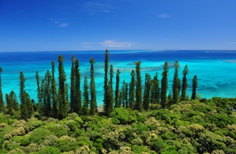Laguna della Nuova Caledonia patrimonio UNESCO: cosa significa immergersi in 24.000 km² di barriera corallina