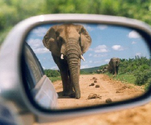 Tour Sudafrica Meraviglioso