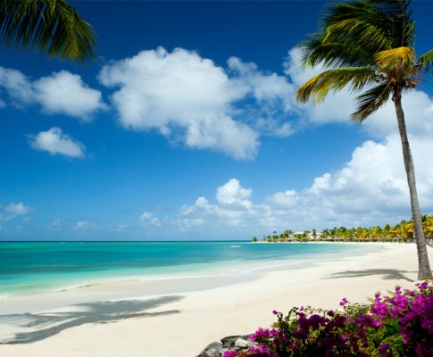 Jumby Bay Resort