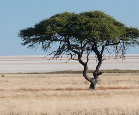 Panorami della Namibia