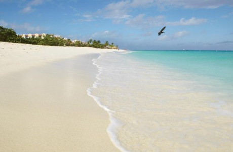 Luna di miele ad agosto? Perché Aruba è l'unica scelta sicura nei Caraibi
