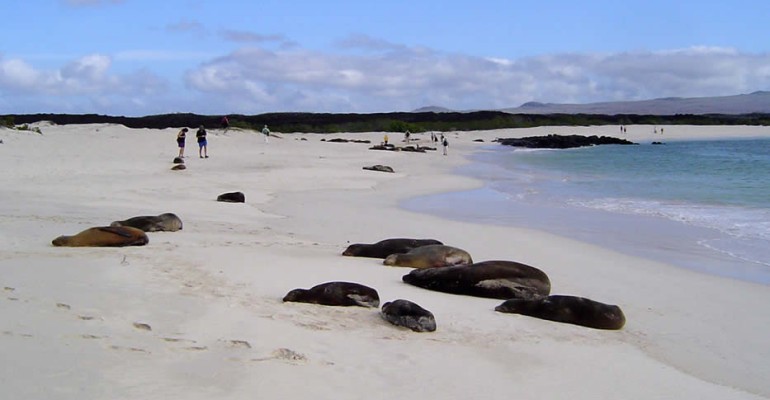 Viaggio di nozze lussuoso in Ecuador e Galapagos: si parte!