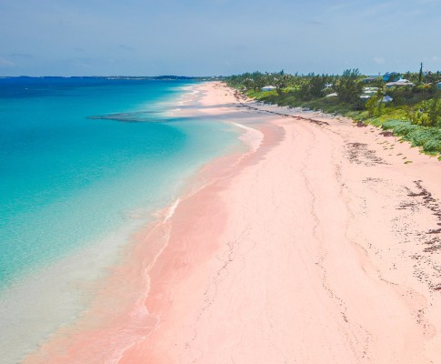 New York & Bermuda