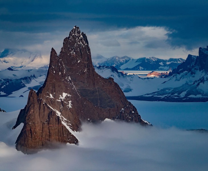 Artico & antartico