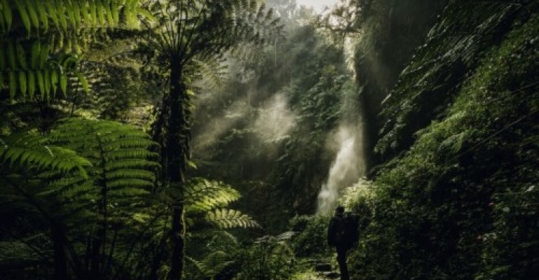 Viaggio in Rwanda: natura, avventura, esplorazione