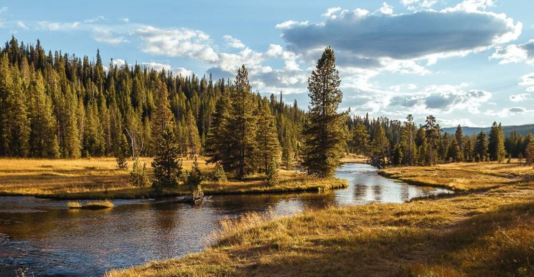 Viaggio di nozze lusso in Montana: i migliori resort selezionati per voi