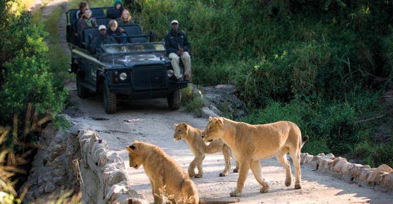 La valigia per un safari: i nostri consigli