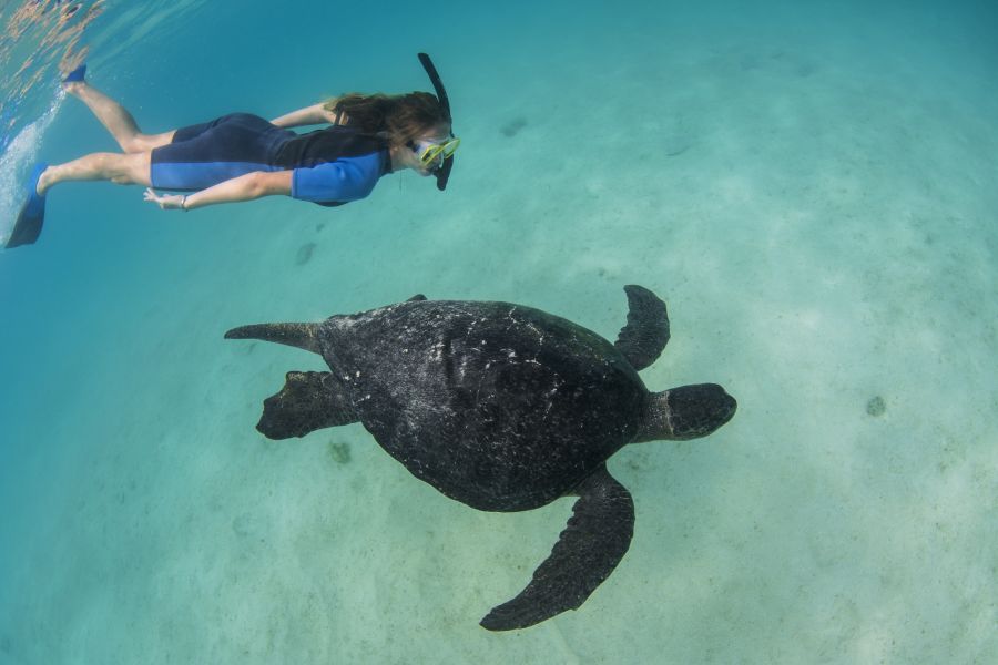 crociera nelle galapagos