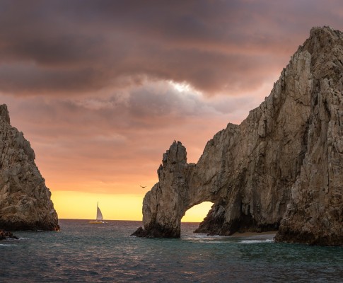 Baja California Experience