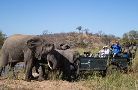 Safari e spiagge tropicali: combinare avventura e relax in un unico viaggio