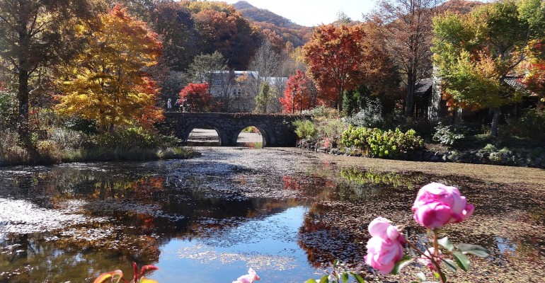 Soggiorno romantico a Karuizawa: Bellezza naturale e atmosfera rilassante