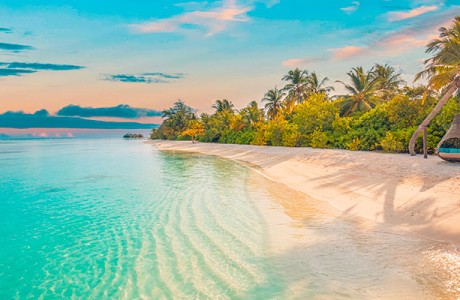 Snorkeling e immersioni ai Caraibi alla scoperta dei fondali