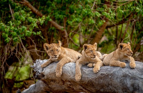 Destinazioni esotiche per coppie: quando partire e come gestire i documenti necessari