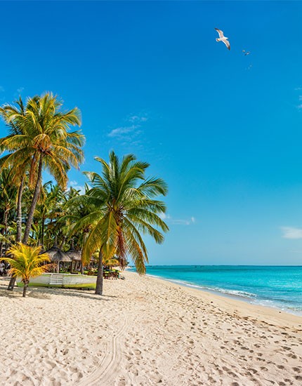 Natural Experience / Mauritius