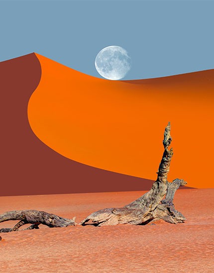 Viaggi Di Nozze / Namibia