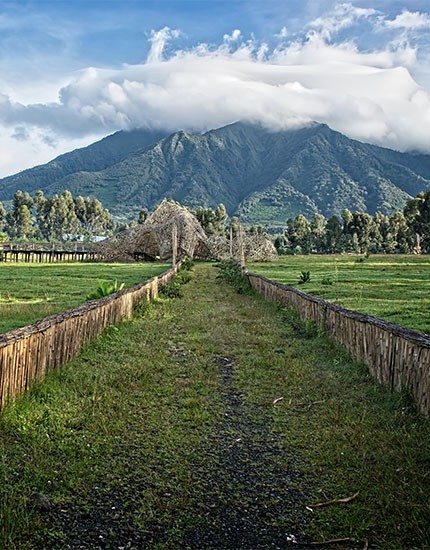 Viaggi Di Nozze / Ruanda