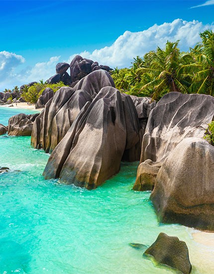 Viaggi Di Nozze / Seychelles