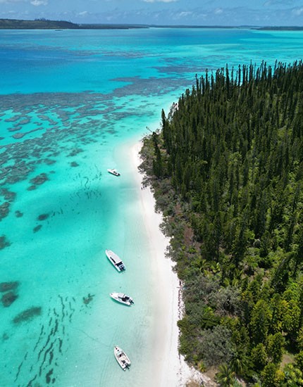 Tropical Experience / Nuova Caledonia
